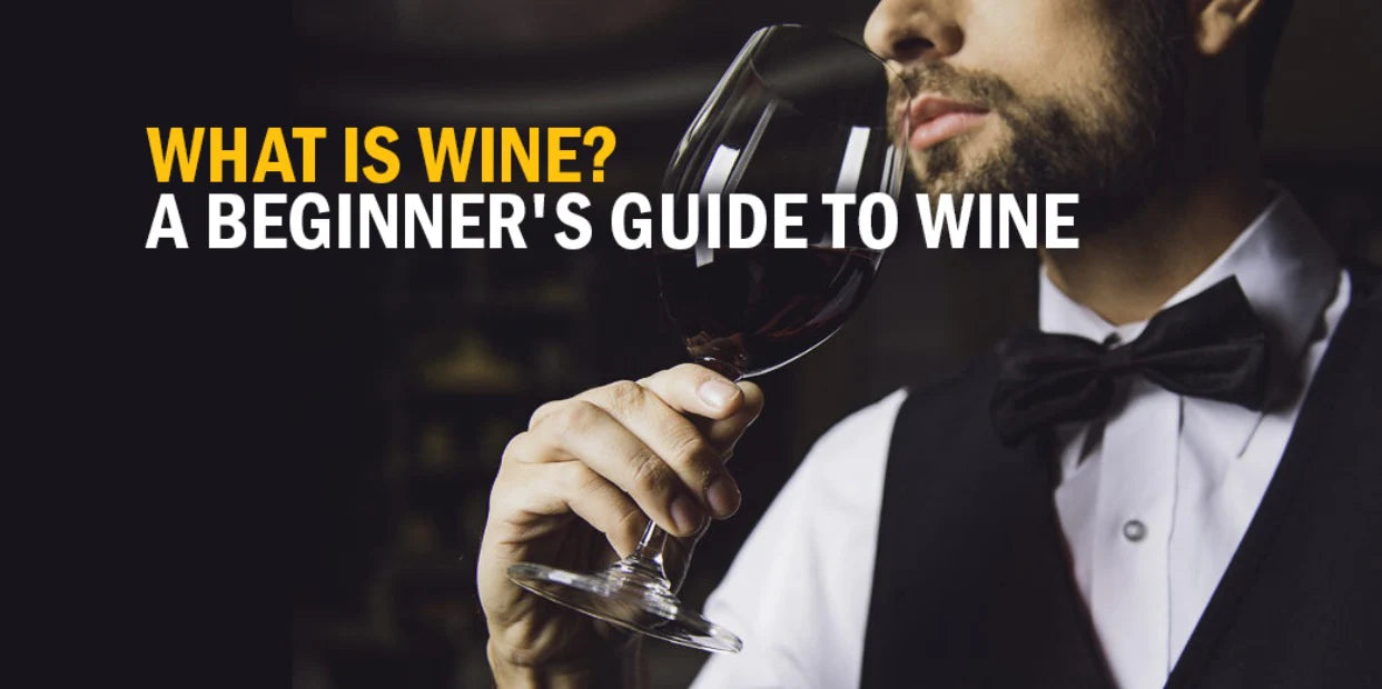 What is Wine? a Biginner's guide to wine