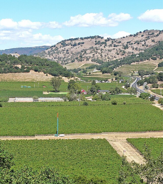 Region Info/Origin