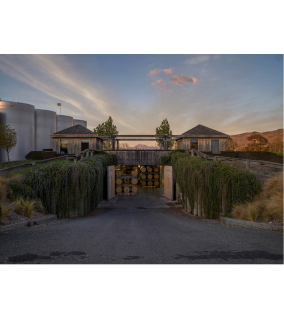 Winery Info/Brand