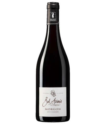 Domaine Bel Avenir Morgon Les Charmes 2021