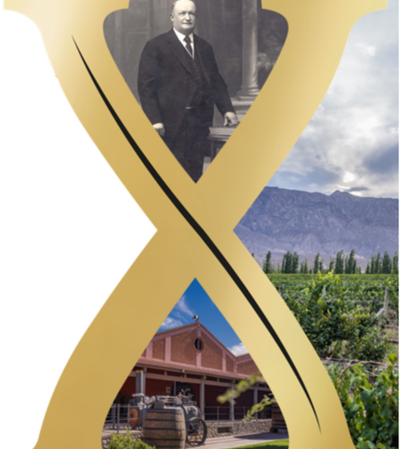 Winery Info/Brand