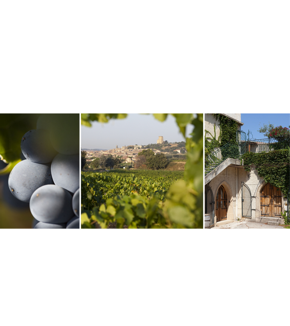 Winery Info/Brand