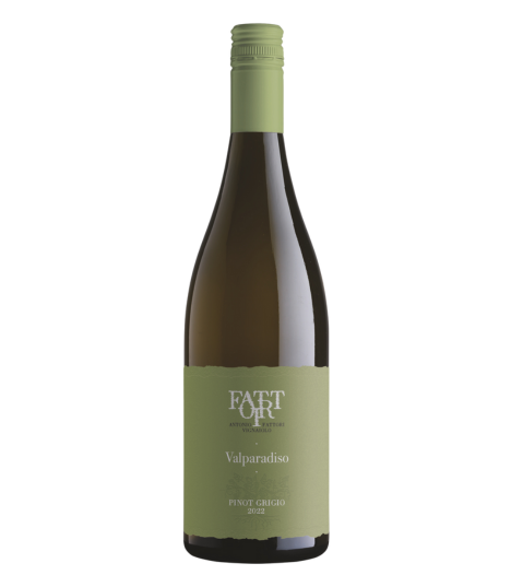 Fattori Valparadiso Pinot Grigio Delle Venezie DOC 2023