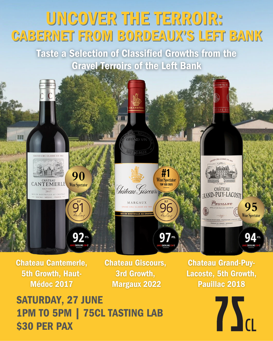 Uncover the Terroir: Cabernet from Bordeaux’s Left Bank