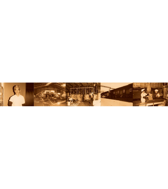 Winery Info/Brand