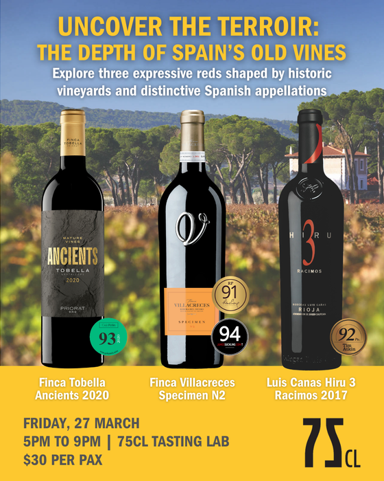 Uncover the Terroir: The Depth of Spain’s Old Vines